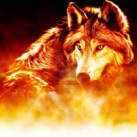 burning_wolf_by_tom_in_silence.jpg